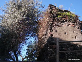 stione degli Infetti26-03-2014 07-35-09